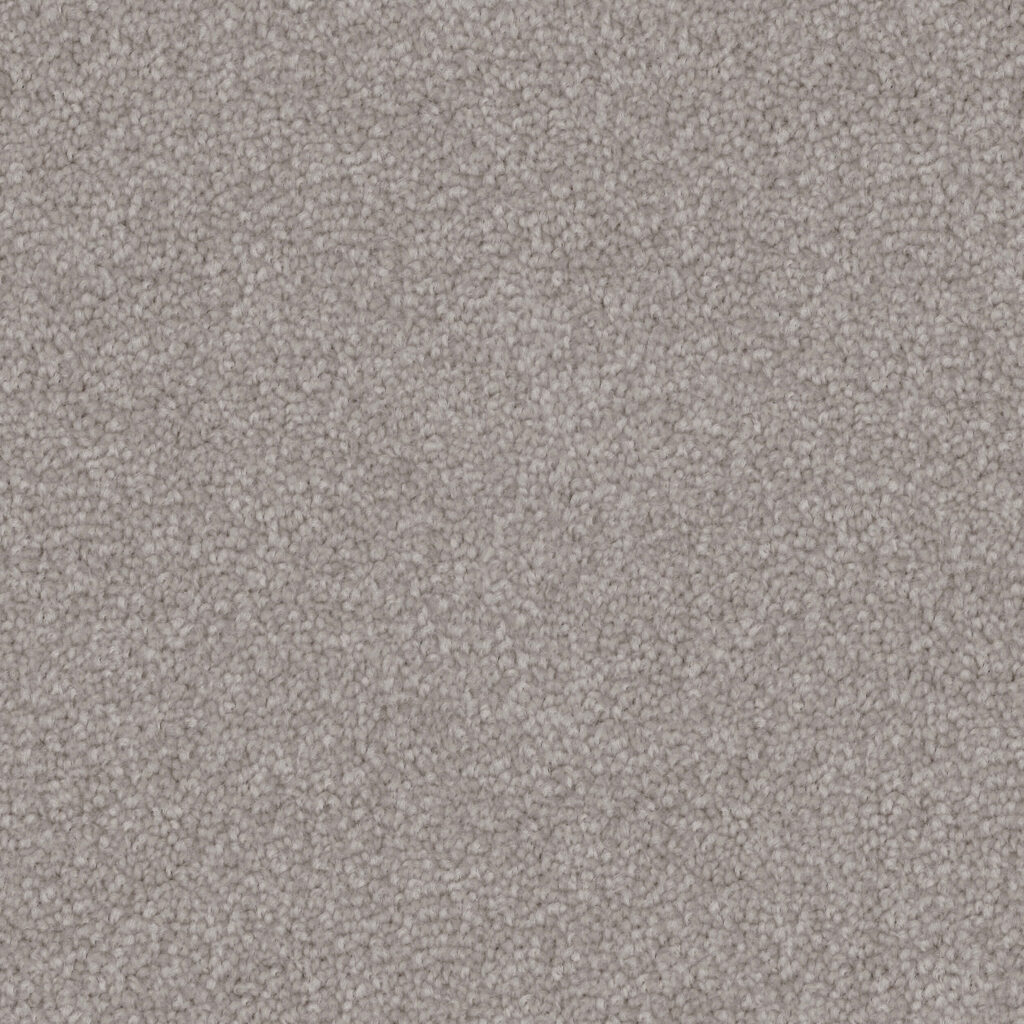 Soft Grey 5 Demure Brazen Delight 90 Soft Grey