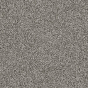 Home 13 Demure Brazen Delight 92 Mountain Haze